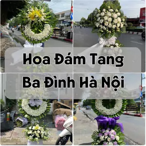 Đặt Hoa Đám Tang Ba Đình Hà Nội | Hoa Chia Buồn