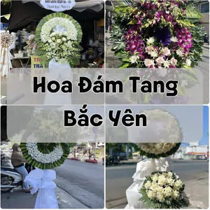 Đặt Hoa Đám Tang Bắc Yên | Đặt Hoa Viếng
