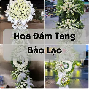 Đặt Hoa Đám Tang Bảo Lạc | Hoa Tang Lễ
