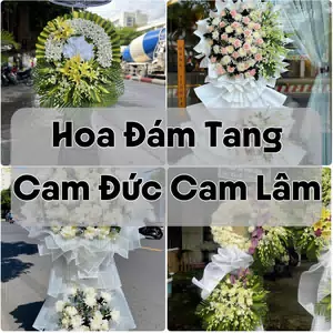 Đặt Hoa Đám Tang Cam Đức Cam Lâm | Hoa Tang Lễ