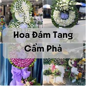 Đặt Hoa Đám Tang Cẩm Phả | Hoa Chia Buồn