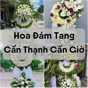 Đặt Hoa Đám Tang Cần Thạnh Cần Giờ | Đặt Hoa Nhanh