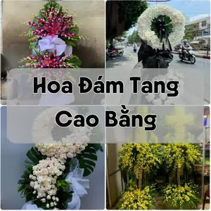 Đặt Hoa Đám Tang Cao Bằng | Hoa Chia Buồn