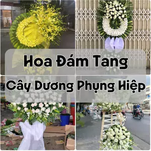 Đặt Hoa Đám Tang Cây Dương Phụng Hiệp | Giao Tận Nơi