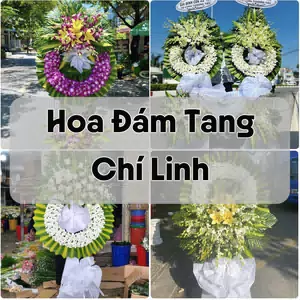 Đặt Hoa Đám Tang Chí Linh | Hoa Chia Buồn