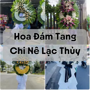 Đặt Hoa Đám Tang Chi Nê Lạc Thủy | Đặt Hoa Nhanh