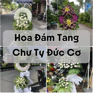 Đặt Hoa Đám Tang Chư Ty Đức Cơ | Đặt Hoa Nhanh