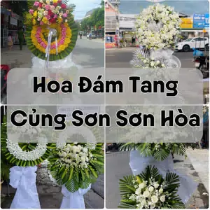 Đặt Hoa Đám Tang Củng Sơn Sơn Hòa | Đặt Hoa Nhanh