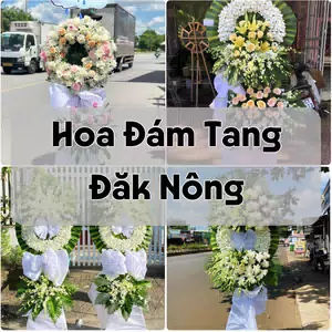 Đặt Hoa Đám Tang Đăk Nông | Giao Tận Nơi