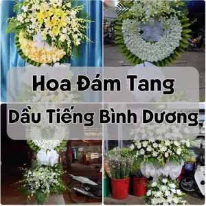 Đặt Hoa Đám Tang Dầu Tiếng Bình Dương | Giao Hoa Nhanh