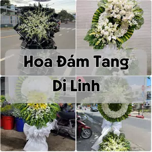Đặt Hoa Đám Tang Di Linh | Hoa Chia Buồn