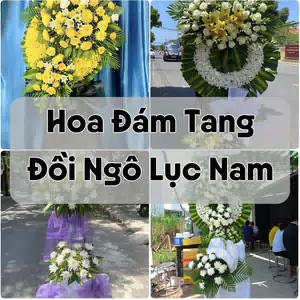 Đặt Hoa Đám Tang Đồi Ngô Lục Nam | Đặt Hoa Viếng