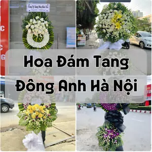 Đặt Hoa Đám Tang Đông Anh Hà Nội | Giao Hoa Nhanh
