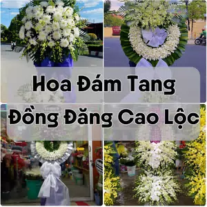 Đặt Hoa Đám Tang Đồng Đăng Cao Lộc | Hoa Chia Buồn