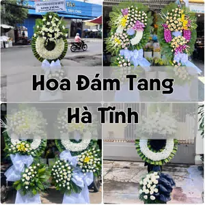 Đặt Hoa Đám Tang Hà Tĩnh | Giao Hoa Nhanh