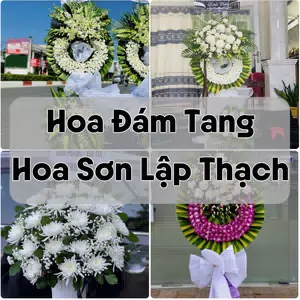 Đặt Hoa Đám Tang Hoa Sơn Lập Thạch | Giao Tận Nơi