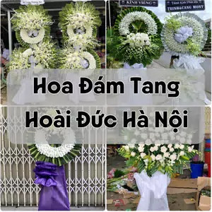 Đặt Hoa Đám Tang Hoài Đức Hà Nội | Giao Tận Nơi