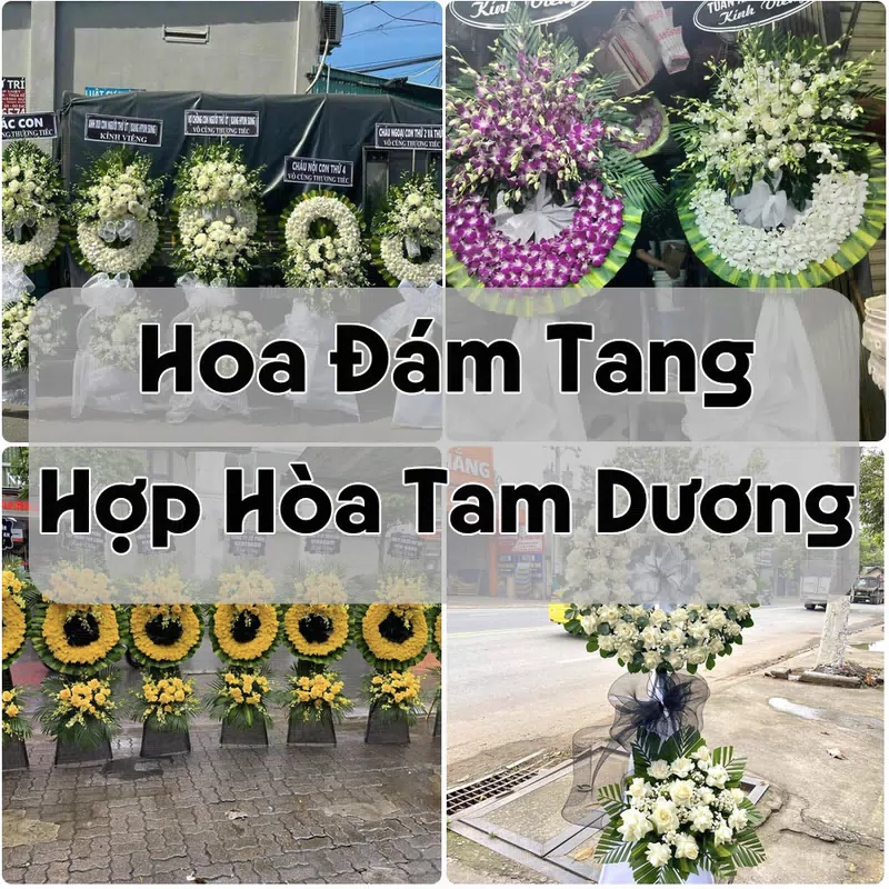 Đặt Hoa Đám Tang Hợp Hòa Tam Dương | Hoa Tang Lễ