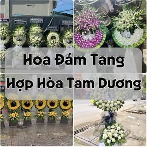 Đặt Hoa Đám Tang Hợp Hòa Tam Dương | Hoa Tang Lễ