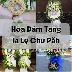Đặt Hoa Đám Tang Ia Ly Chư Păh | Hoa Tang Lễ