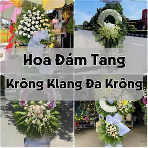 Đặt Hoa Đám Tang Krông Klang Đa Krông | Giao Tận Nơi