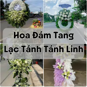 Đặt Hoa Đám Tang Lạc Tánh Tánh Linh | Hoa Chia Buồn