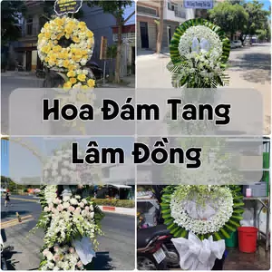 Đặt Hoa Đám Tang Lâm Đồng | Giao Tận Nơi