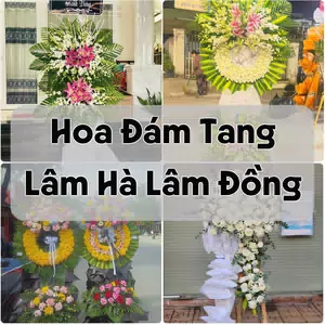 Đặt Hoa Đám Tang Lâm Hà Lâm Đồng | Hoa Chia Buồn