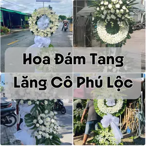 Đặt Hoa Đám Tang Lăng Cô Phú Lộc | Đặt Hoa Viếng