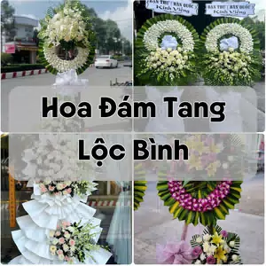 Đặt Hoa Đám Tang Lộc Bình | Đặt Hoa Nhanh