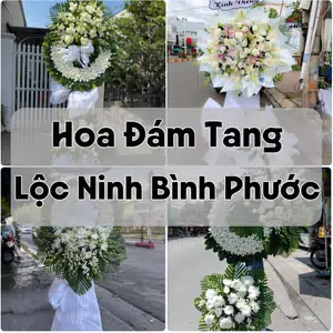 Đặt Hoa Đám Tang Lộc Ninh Bình Phước | Giao Hoa Nhanh