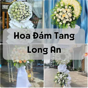 Đặt Hoa Đám Tang Long An | Giao Tận Nơi