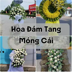 Đặt Hoa Đám Tang Móng Cái | Giao Tận Nơi