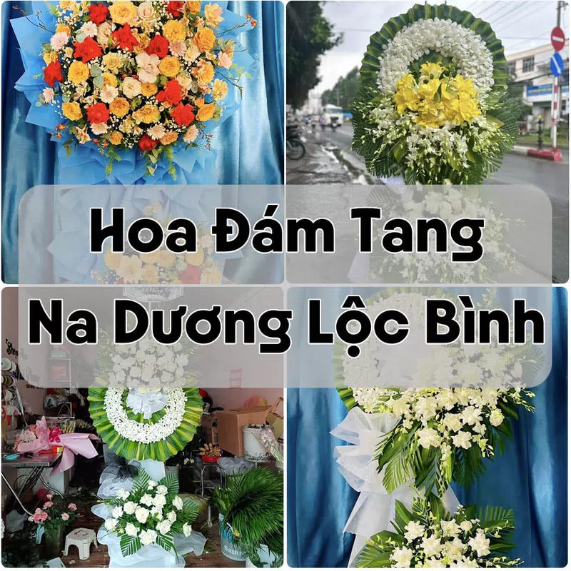 Đặt Hoa Đám Tang Na Dương Lộc Bình | Đặt Hoa Viếng