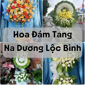 Đặt Hoa Đám Tang Na Dương Lộc Bình | Đặt Hoa Viếng