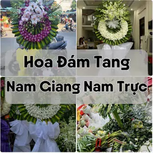 Đặt Hoa Đám Tang Nam Giang Nam Trực | Hoa Chia Buồn