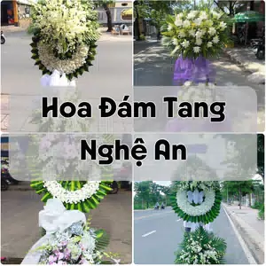 Đặt Hoa Đám Tang Nghệ An | Đặt Hoa Nhanh