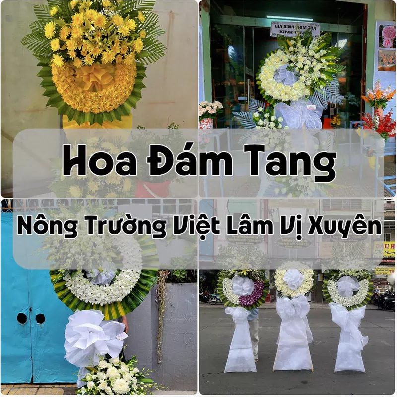 Đặt Hoa Đám Tang Nông Trường Việt Lâm Vị Xuyên | Đặt Hoa Viếng