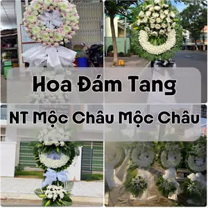 Đặt Hoa Đám Tang NT Mộc Châu Mộc Châu | Hoa Tang Lễ