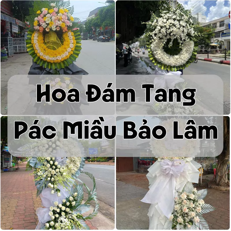 Đặt Hoa Đám Tang Pác Miầu Bảo Lâm | Hoa Chia Buồn
