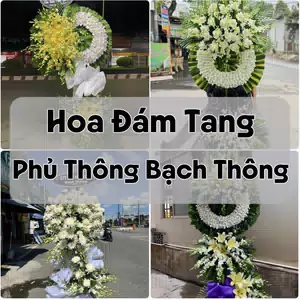 Đặt Hoa Đám Tang Phủ Thông Bạch Thông | Hoa Chia Buồn