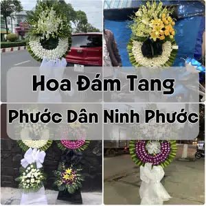 Đặt Hoa Đám Tang Phước Dân Ninh Phước | Giao Hoa Nhanh