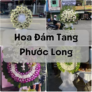 Đặt Hoa Đám Tang Phước Long | Giao Tận Nơi