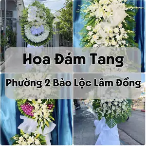 Đặt Hoa Đám Tang Phường 2 Bảo Lộc Lâm Đồng | Hoa Chia Buồn