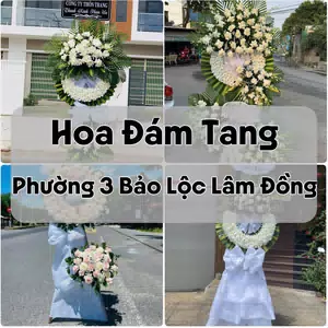 Đặt Hoa Đám Tang Phường 3 Bảo Lộc Lâm Đồng | Giao Tận Nơi