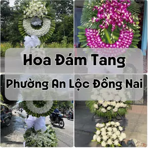 Đặt Hoa Đám Tang Phường An Lộc Đồng Nai | Giao Hoa Nhanh