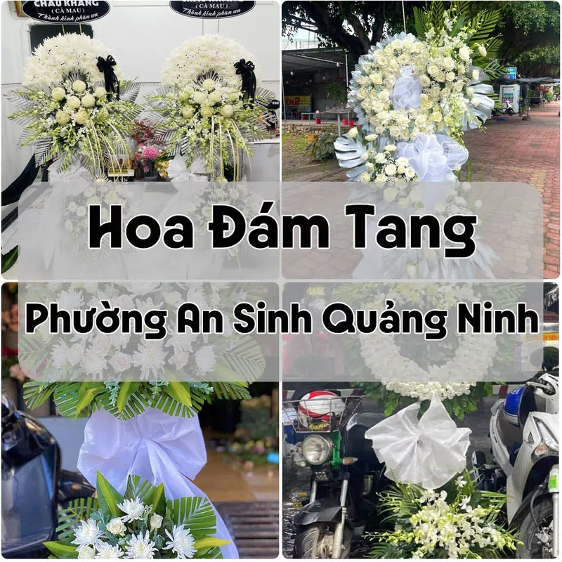 Đặt Hoa Đám Tang Phường An Sinh Quảng Ninh | Hoa Chia Buồn