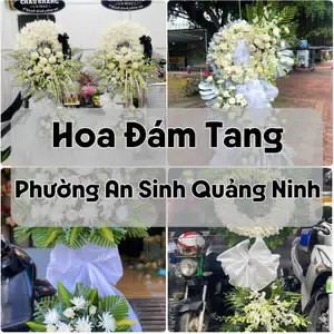 Đặt Hoa Đám Tang Phường An Sinh Quảng Ninh | Hoa Chia Buồn