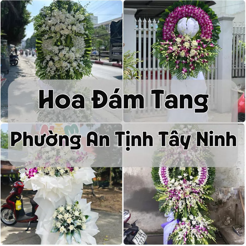 Đặt Hoa Đám Tang Phường An Tịnh Tây Ninh | Giao Hoa Nhanh