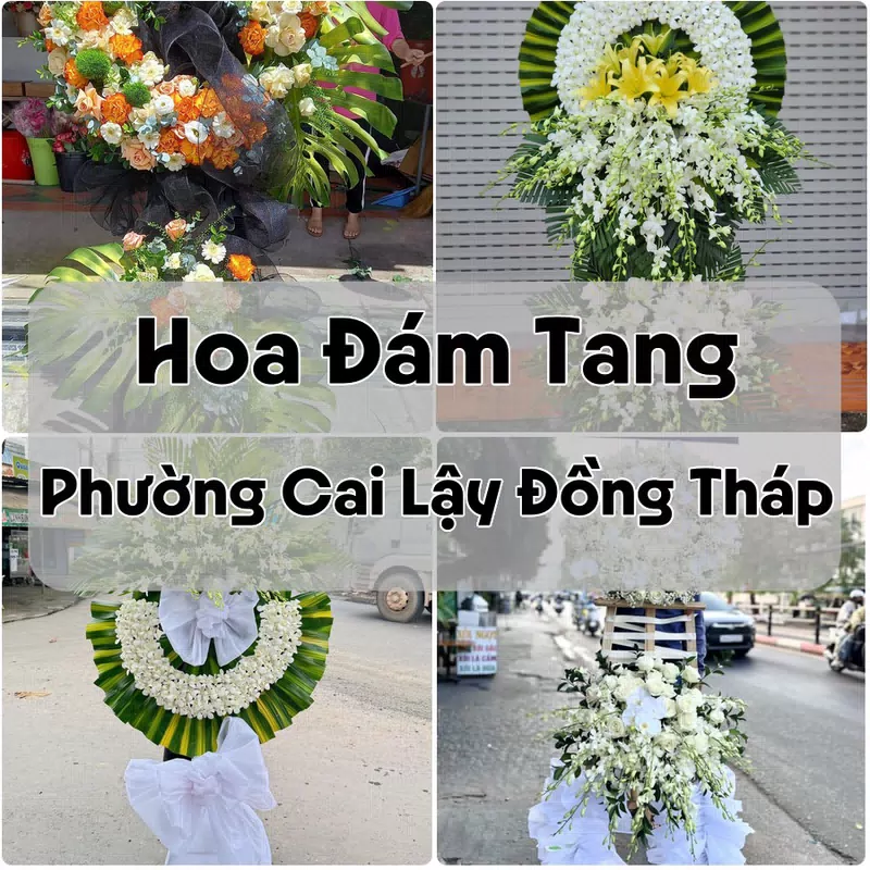 Đặt Hoa Đám Tang Phường Cai Lậy Đồng Tháp | Đặt Hoa Viếng